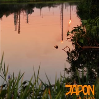 Imagen de Japón